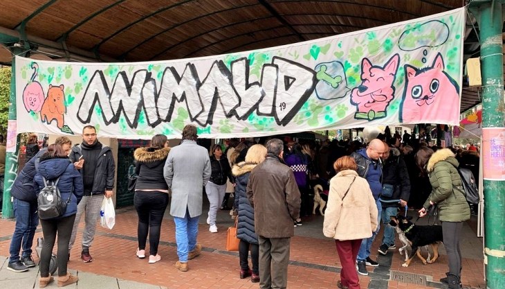 El ‘intolerable’ abandono de animales en Valladolid