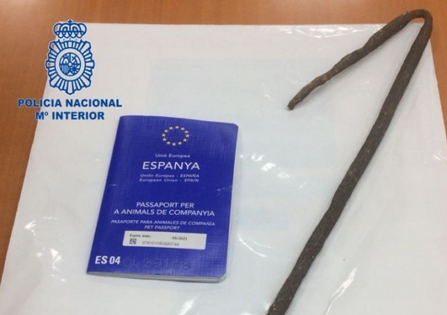 Un descerebrado agrede a su perro con una barra de hierro