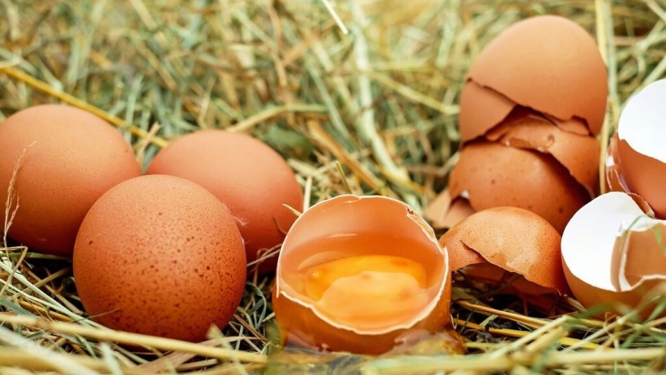 Cómo detectar huevos ecológicos sin que te engañen
