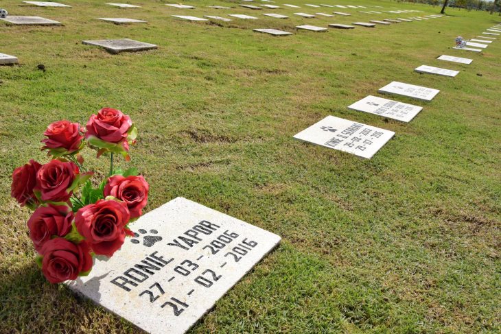 Madrid apoya el enterramiento de mascotas cuando no exista peligro para la salud pública