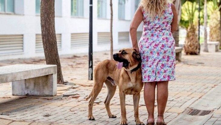 El impuesto por censar mascotas en Zamora