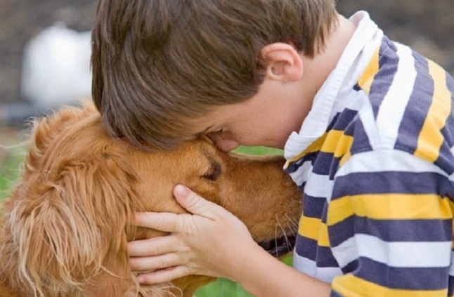 A tu mascota seguro que no le gustan los petardos