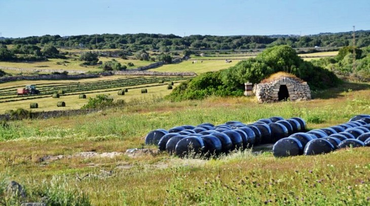 Menorca invertirá 15.000 euros en mejorar la promoción de su producto ecológico