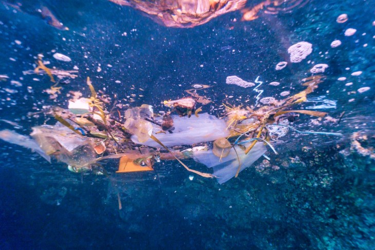 Tecnología verde con base de carbono para limpiar la contaminación de microplásticos en mares y ríos