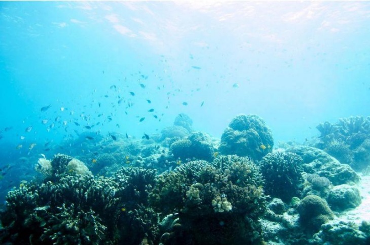 Tecnología verde para estudiar el impacto ambiental en los océanos