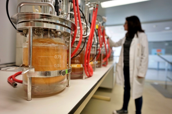 Investigan ingredientes probióticos para cosméticos que mantengan el equilibrio natural de la piel