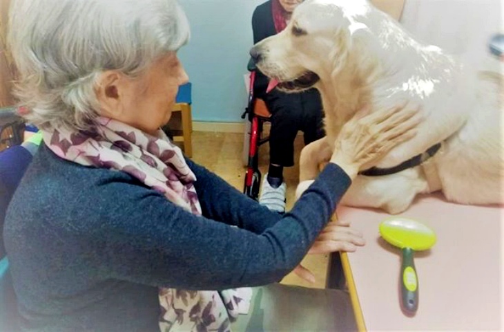 Terapia con perros para los mayores