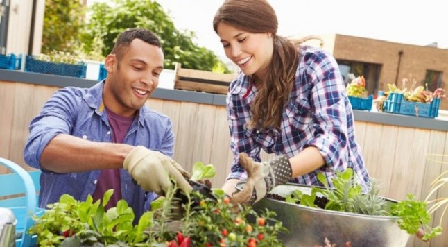 Madrid da luz verde a nuevas parcelas para huertos urbanos