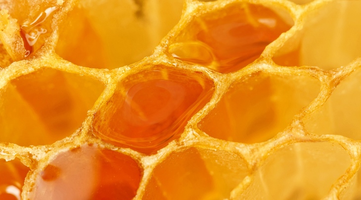 artMuria galardonada en el ‘Great Taste 2019’