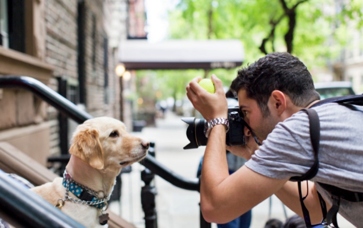 El ICOVV lanza un concurso fotográfico dedicado a nuestras mascotas