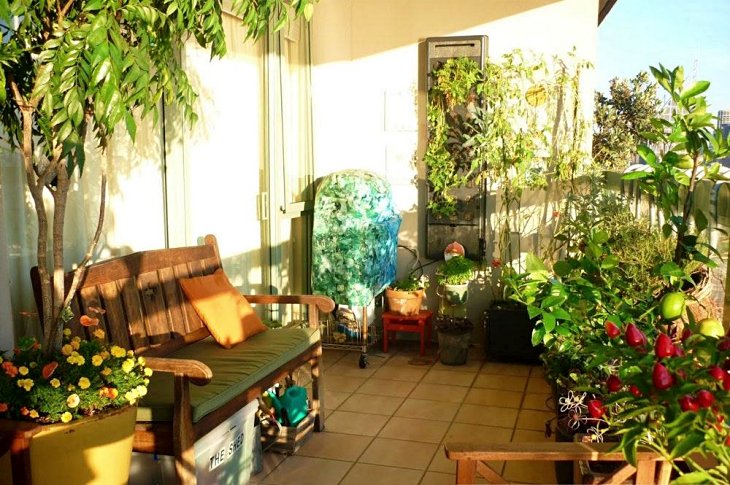 La vida saludable lo es mucho más si puedes tener un huerto en casa