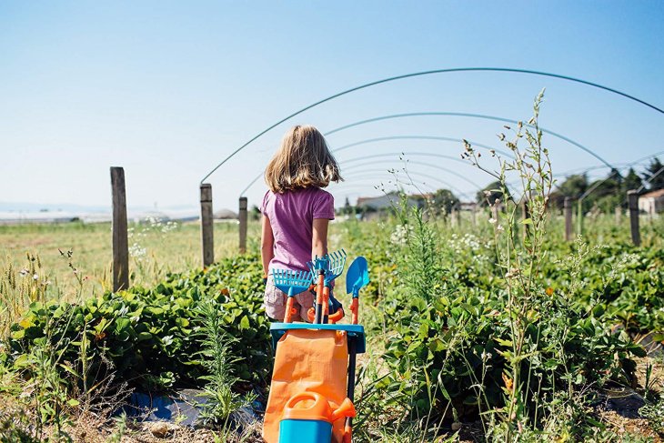 Premio Nacional Huertos Educativos Ecológicos