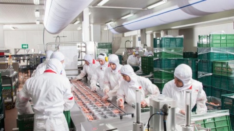 La amenaza de la agricultura transgénica sobre la biodiversidad