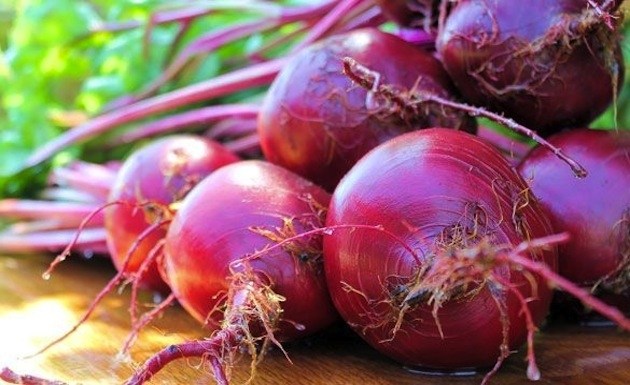 Europa autoriza nuevos transgénicos para el pienso y la alimentación