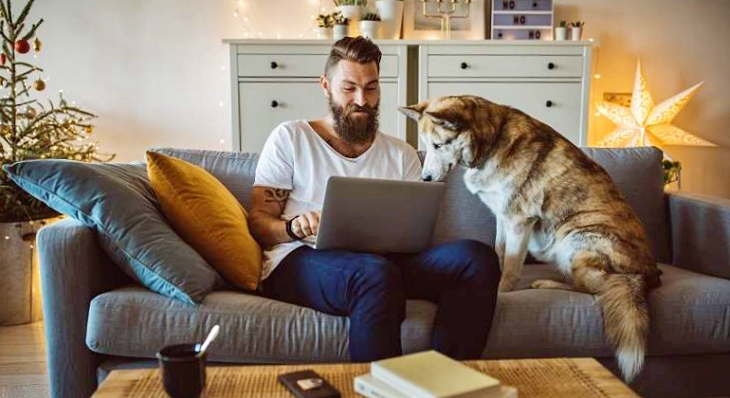 Los españoles gastamos una media de 1.200 euros al año en nuestras mascotas