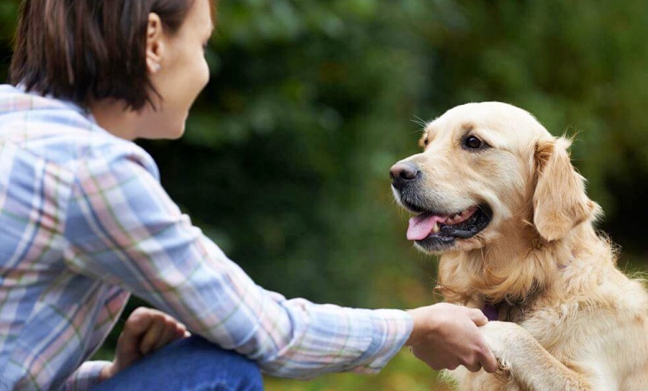 Si tienes un perro vivirás más