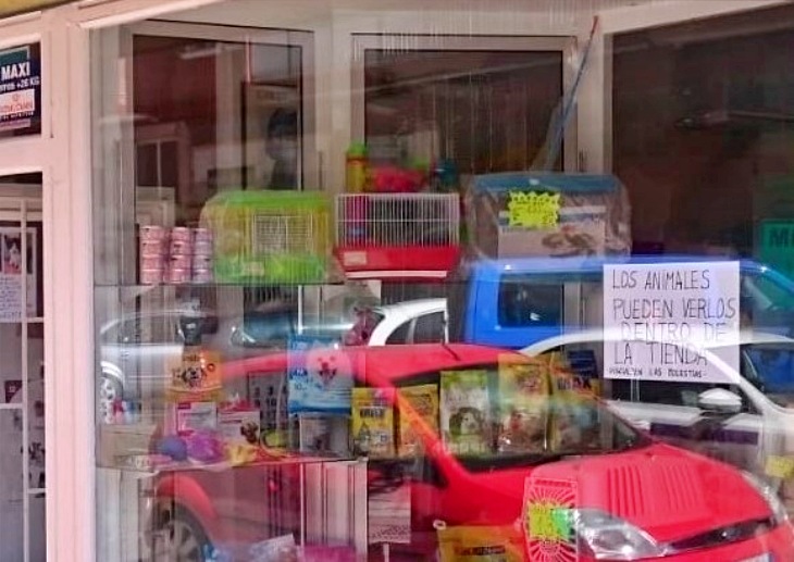 Castilla y León obliga a retirar animales de los escaparates al público