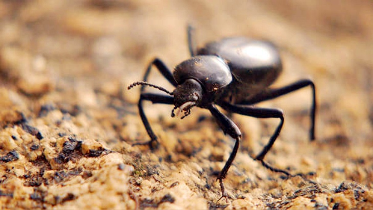 Tecnología verde para obtener agua en el desierto