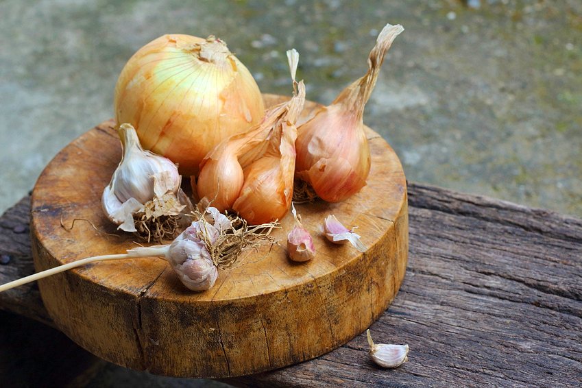 Ajo y cebolla para prevenir el cáncer de mama