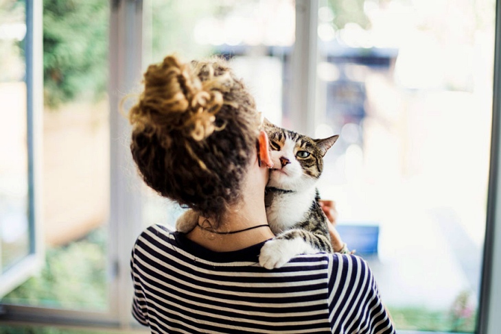Los gatos también adoran a sus dueños