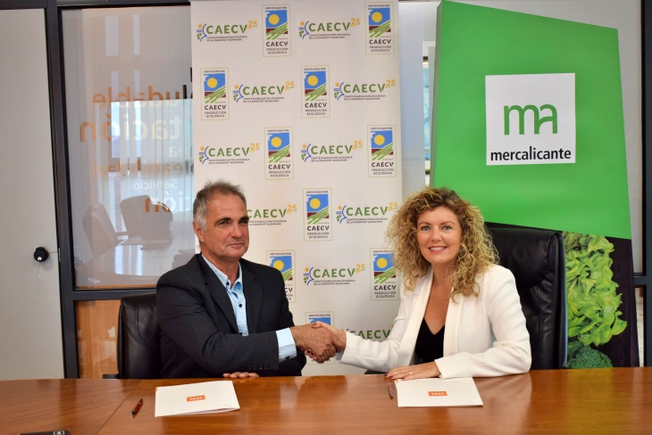 Mercalicante y el CAECV