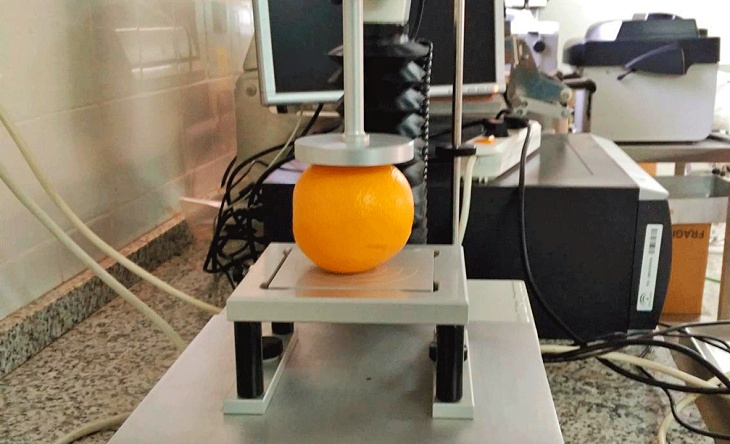 Innovación para precisar el origen ecológico de las naranjas