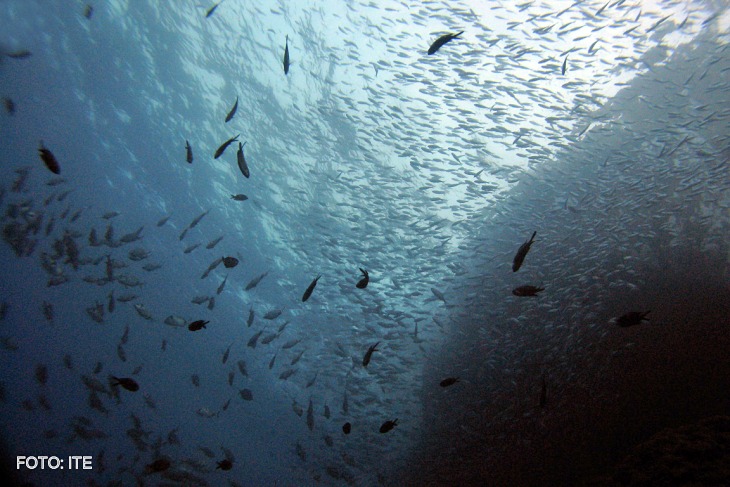 Tecnología verde para la detección de eventos sísmicos submarinos