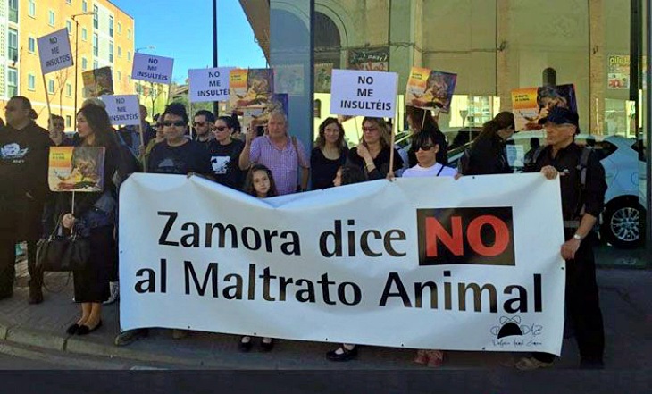 Año y medio de inhabilitación y seis meses de prisión por matar a dos perros