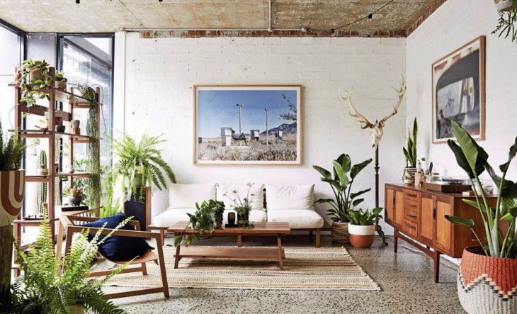 Las plantas en macetas de interior mejoran la calidad del aire en tu vivienda