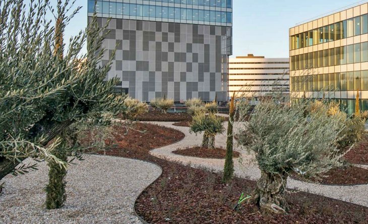 Huertos urbanos en edificios de oficinas de Madrid