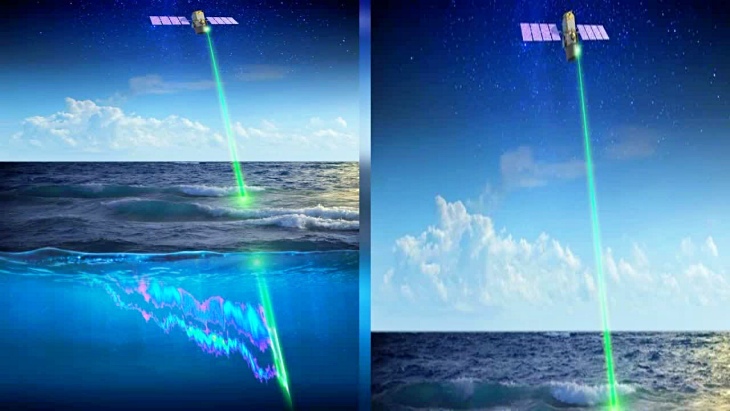 La ‘tecnología verde’ revela una cinta transportadora animal global de carbono