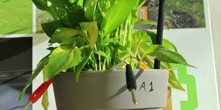 Tecnología verde con un sensor que transmite vía satélite con electricidad generada por plantas