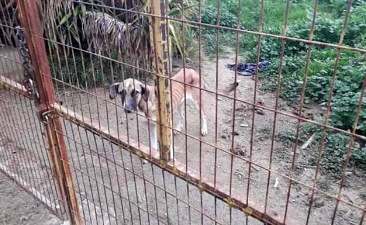 Vegas del Genil (Granada)