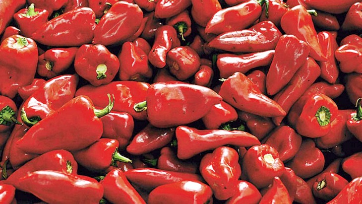 Todo lo que siempre has querido saber sobre los saludables ‘pimientos del piquillo’