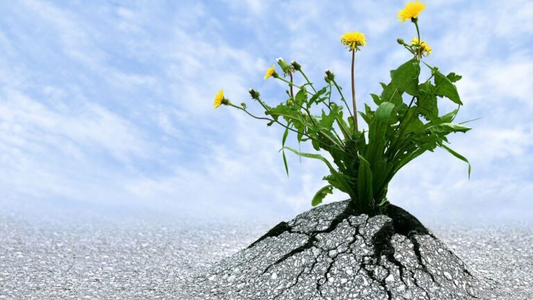resiliencia tipos