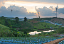 En 2023 España acogerá la ‘Conferencia Internacional de Energías Renovables’