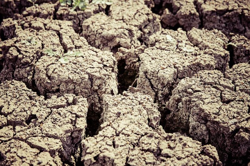 Desertificación y cambio climático