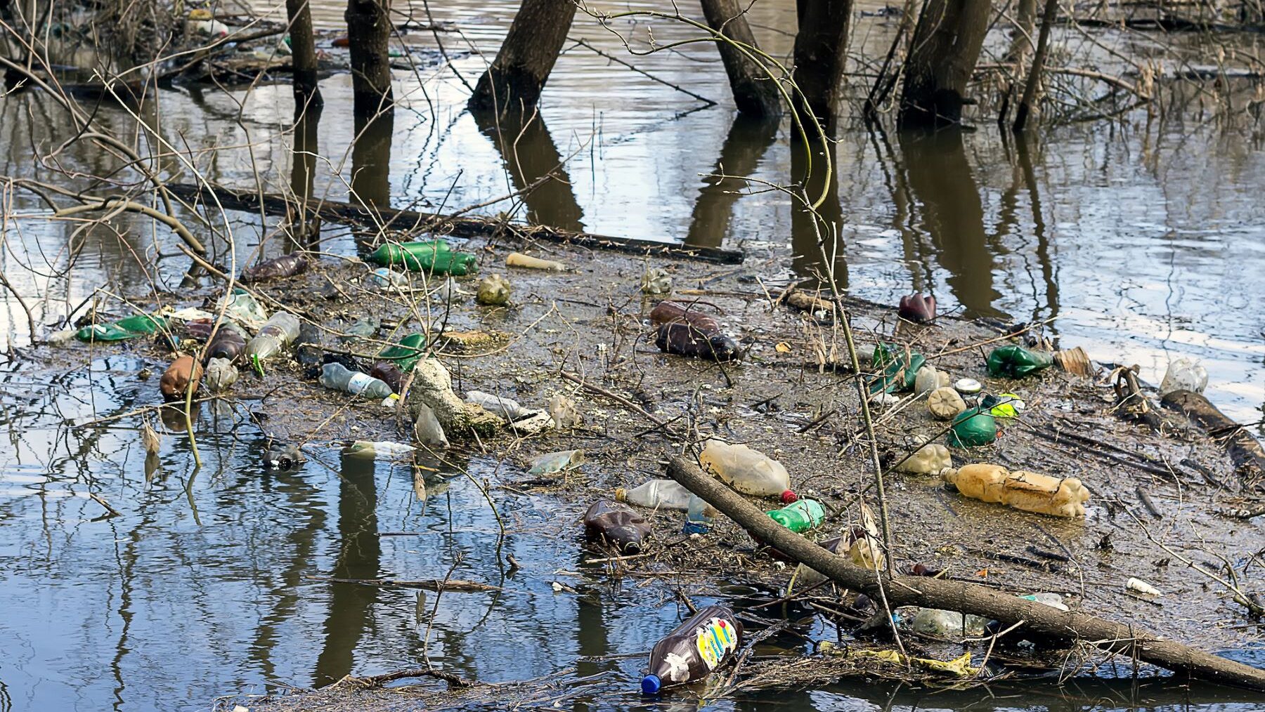 contaminación ríos españoles