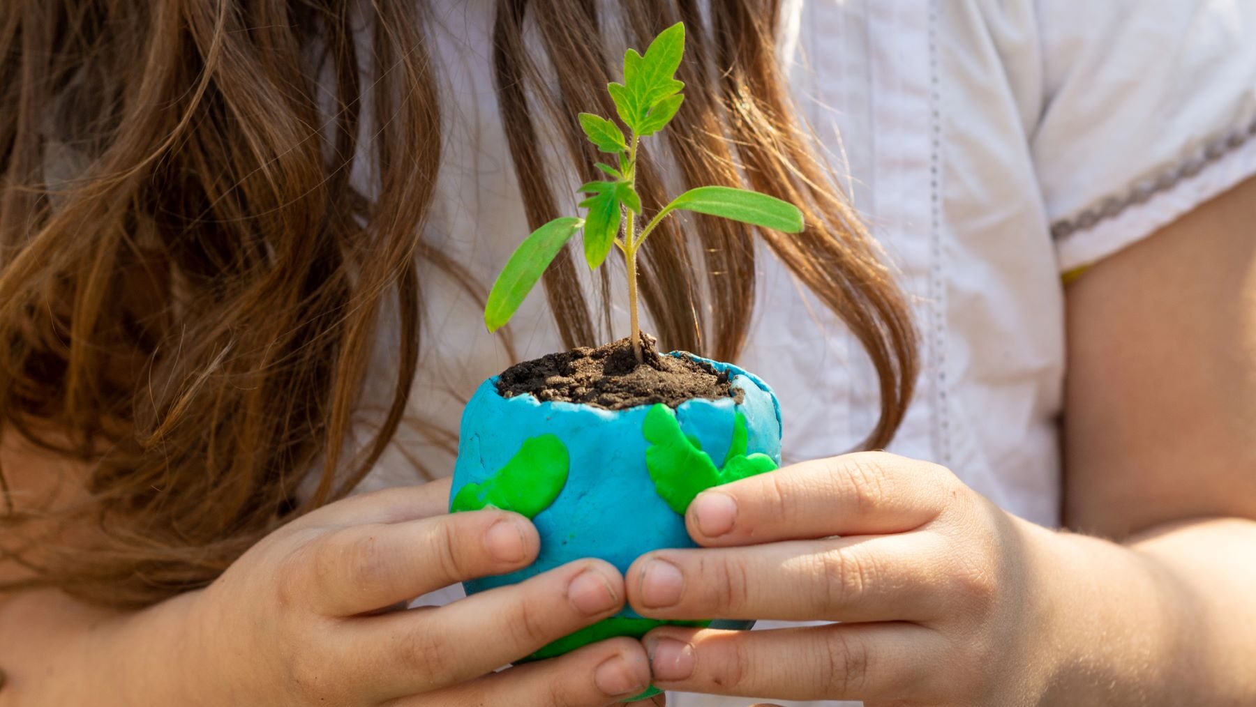 medio ambiente proteger