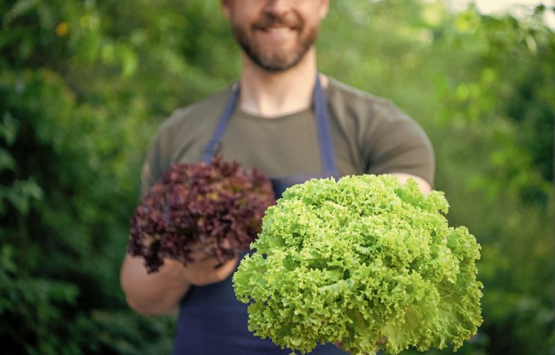 Día Mundial del Horticultor 2024