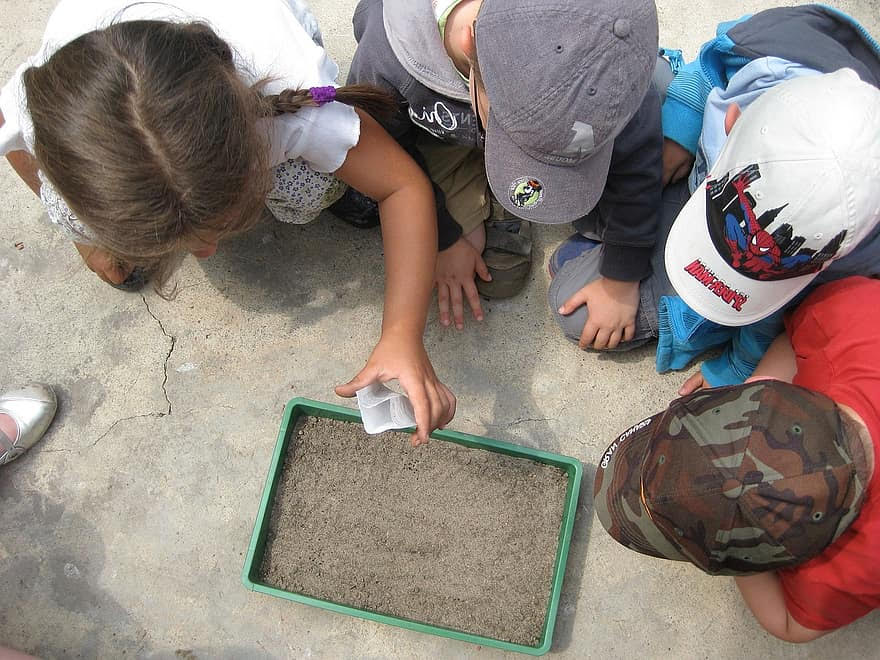 Máster en ciencias del medio ambiente especialidad en comunicación y educación ambiental