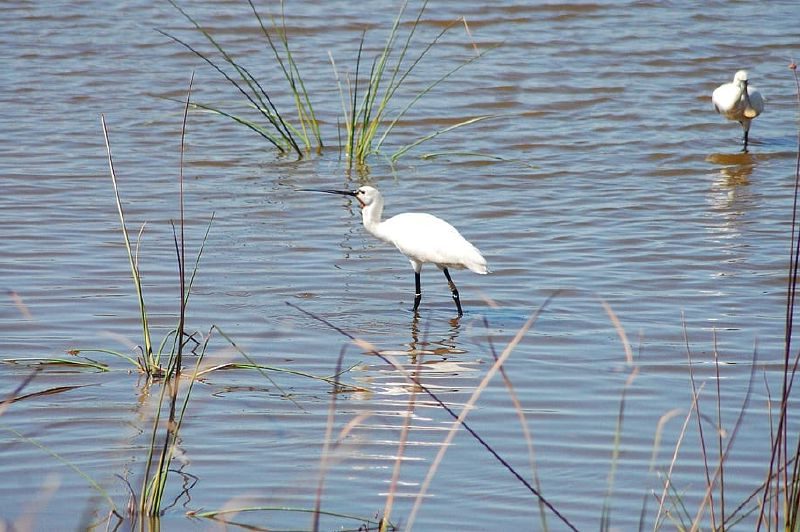 Día Europeo de la Red Natura 2000 2022