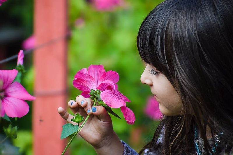 Día Internacional de la Fascinación por las Plantas 2022