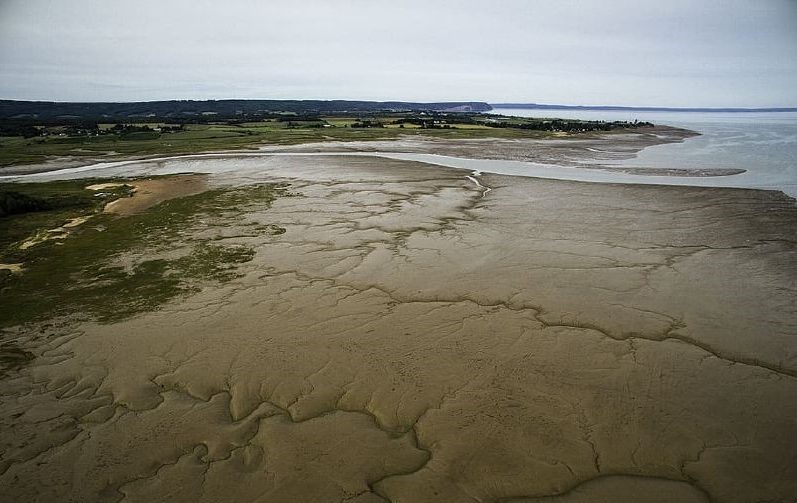 Desventajas mareomotriz