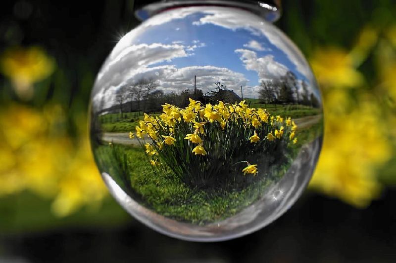 ¿Qué tecnologías ayudan al medio ambiente?