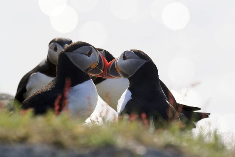 Día Mundial de la Diversidad Biológica 2023