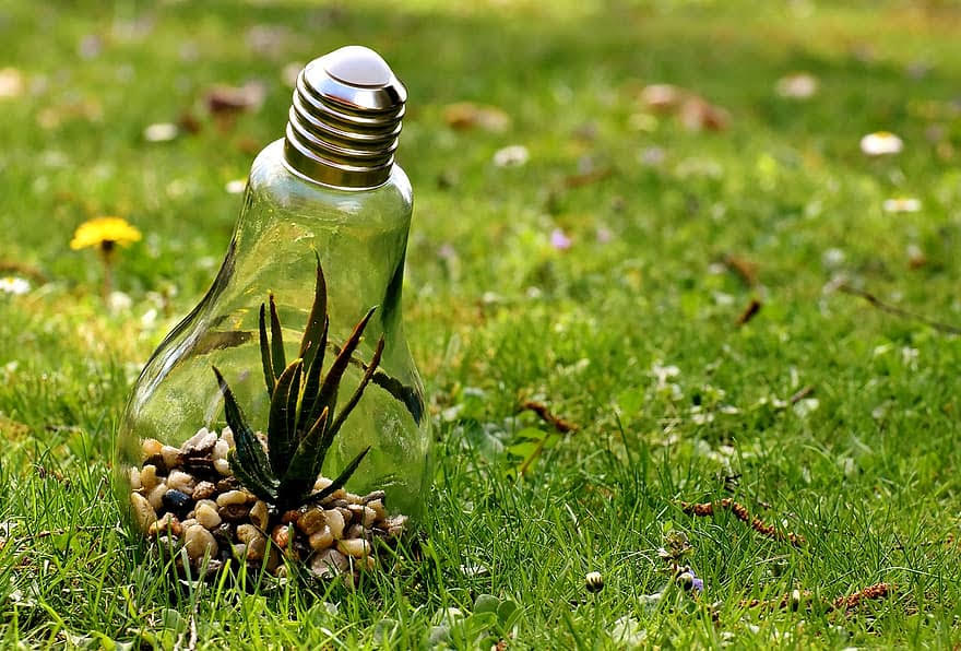 ¿Aún no has decidido que Máster vas a estudiar?