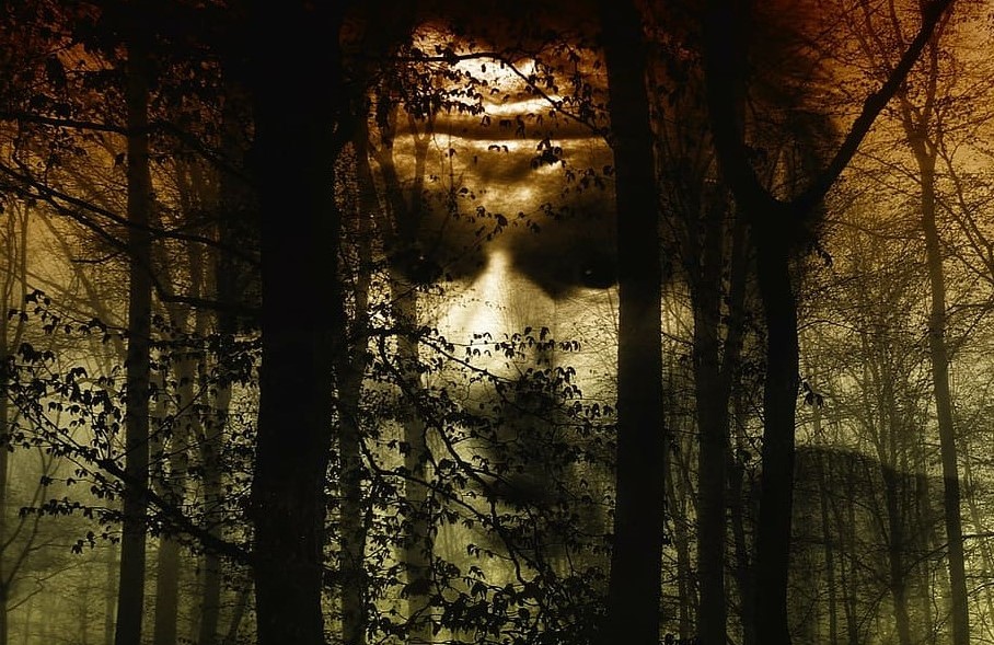 La eco-ansiedad es una palabra acuñada en 1997 por Véronique Lapaige, profesora-investigadora canadiense y belga. Observó que, individual o colectivamente, un número creciente de personas se sentían mal y a menudo necesitaban asumir la responsabilidad. por el cambio climático y las crisis ambientales