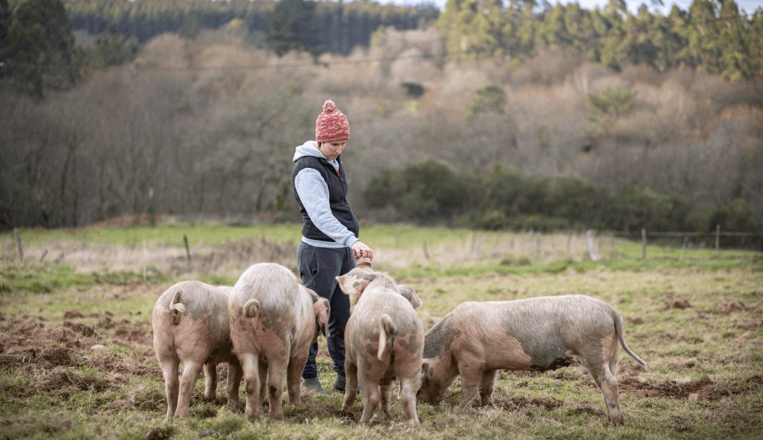 Ganadería extensiva y sostenible ecologica