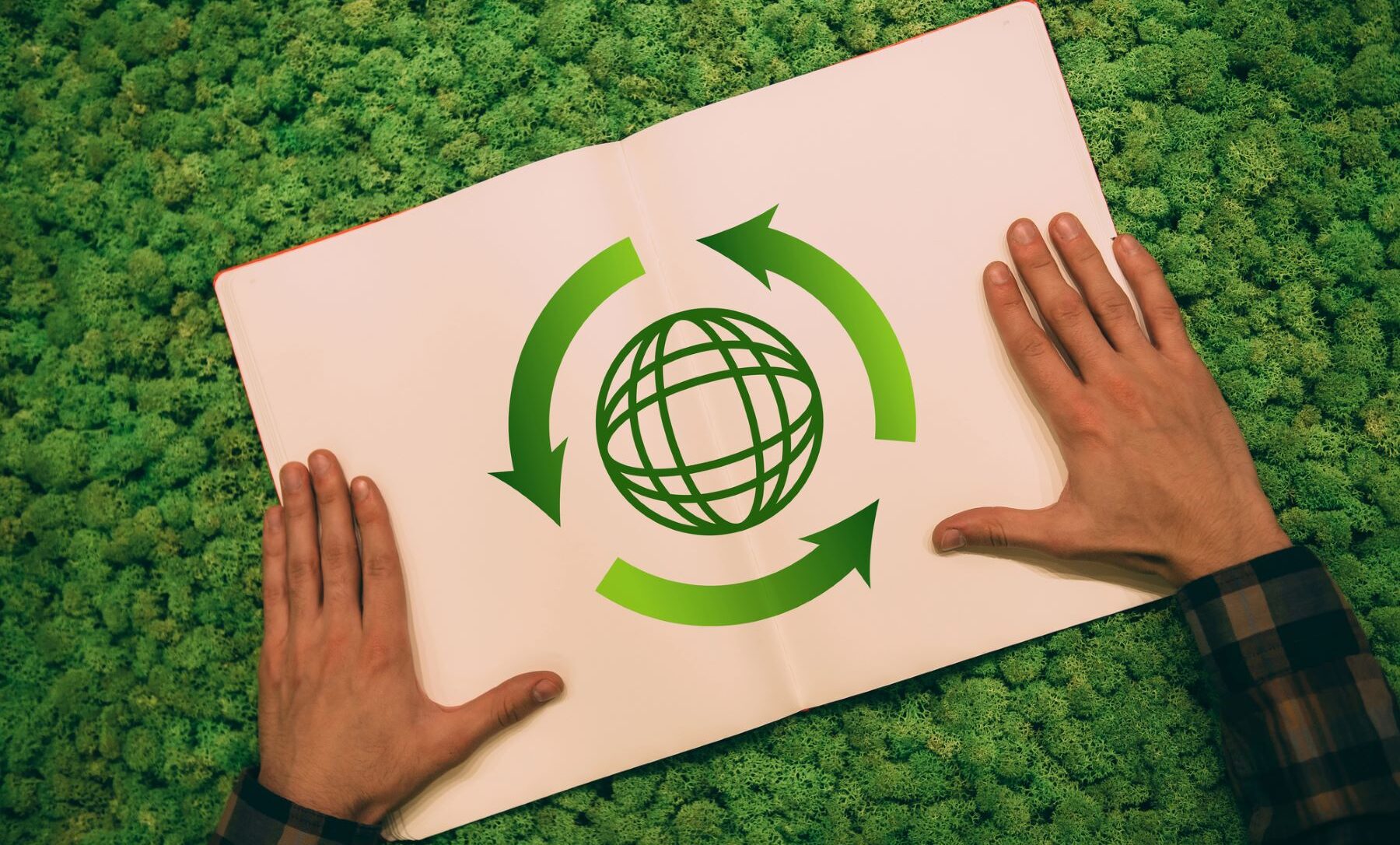 Economía circular ciclos